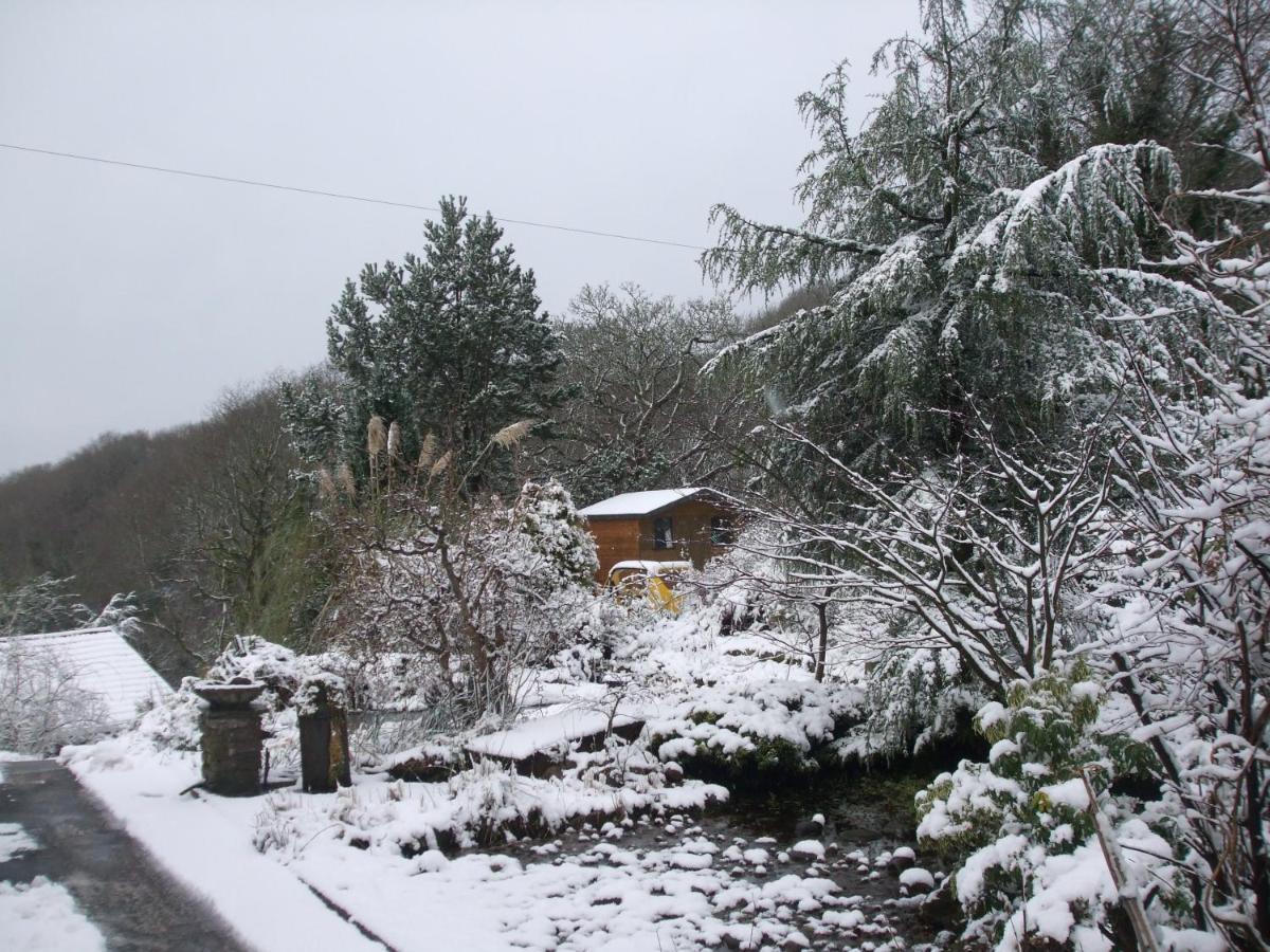 Cwmbach Guest House Neath Exterior photo