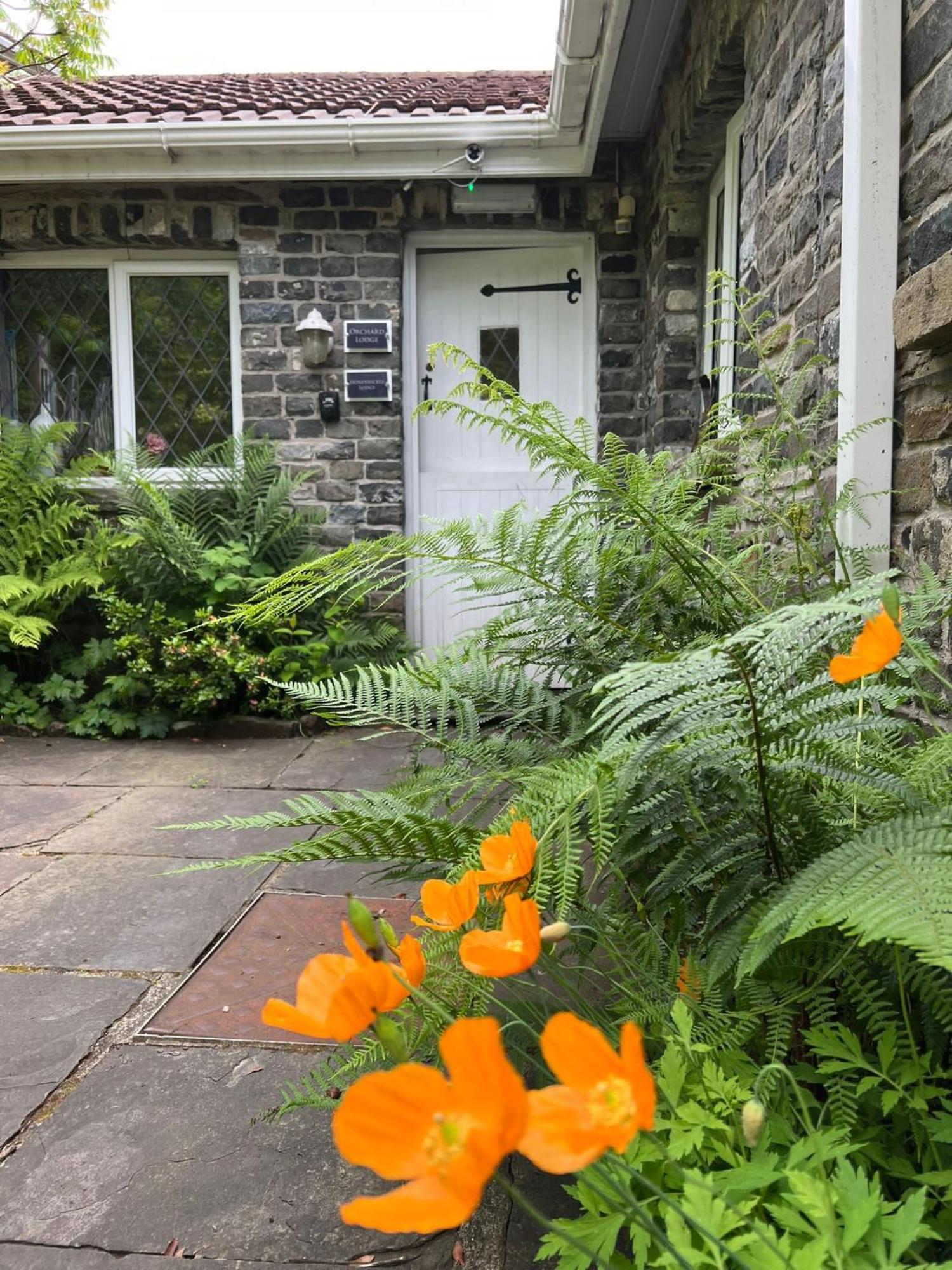 Cwmbach Guest House Neath Exterior photo