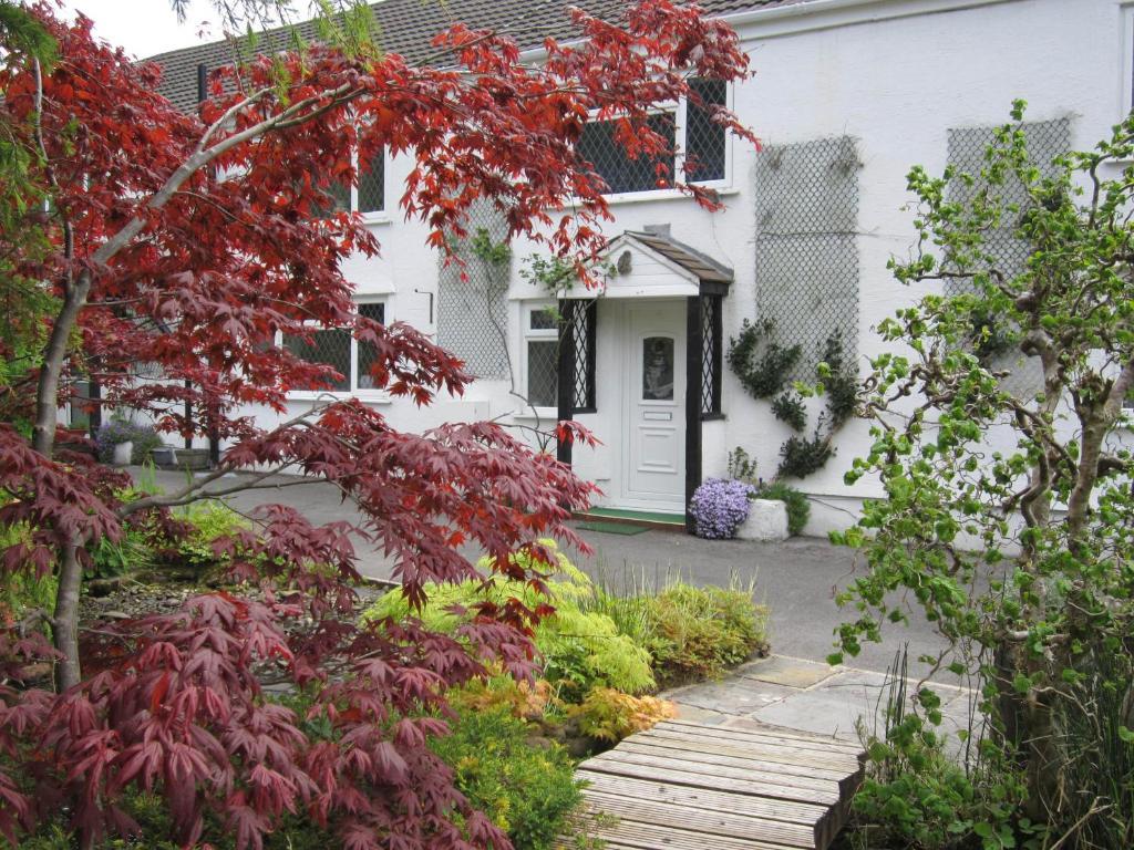 Cwmbach Guest House Neath Exterior photo